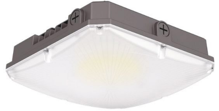 LED Canopy Light