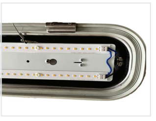 LED Stainless Steel Housing Series image 2